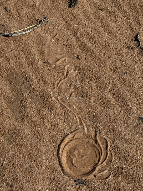 IMG 8980