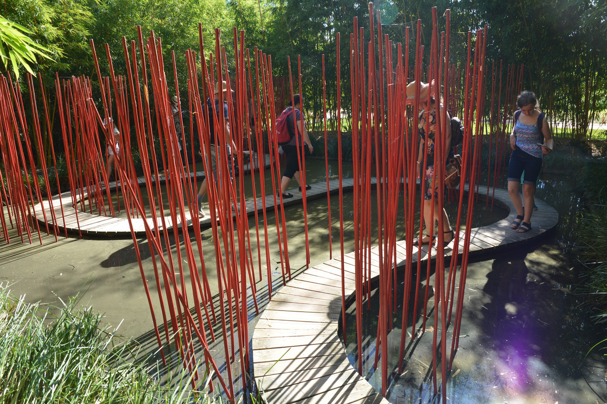 04.07 - DSC_7380 (Ater)