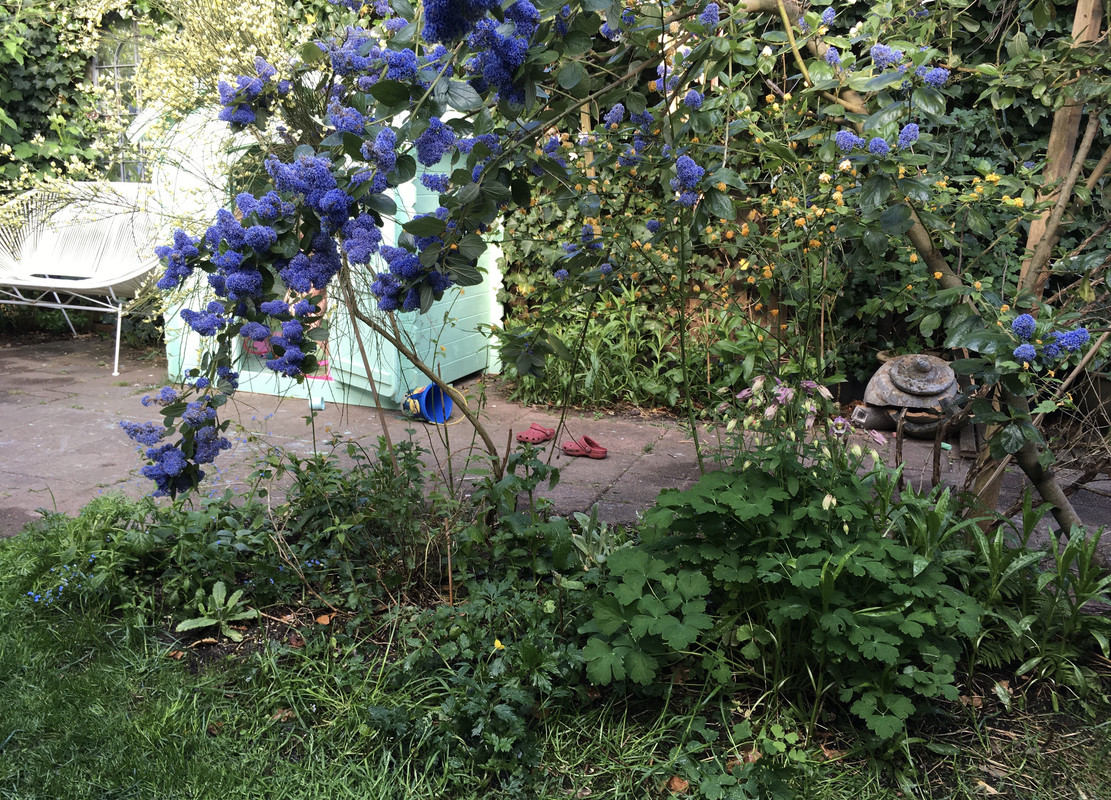 CF725095-647A-4D85-A791-B0524E14A104