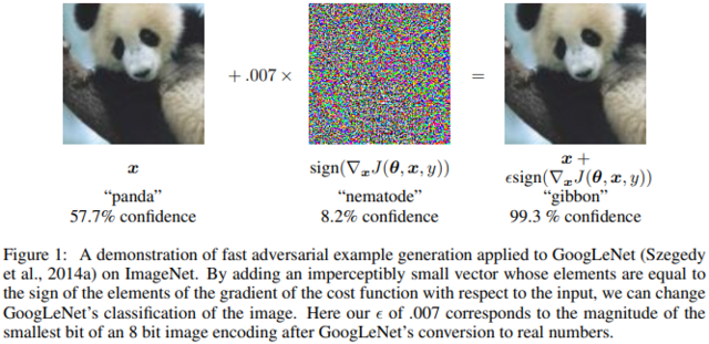 Adversarial Attack