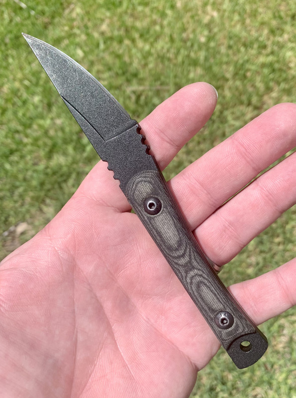 1B8A10BF-0800-42A3-BB23-3A10CE3BA981