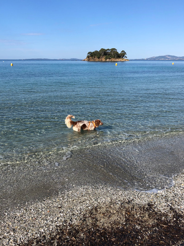 819FE8E1-2D71-40ED-A002-FD92E436D187