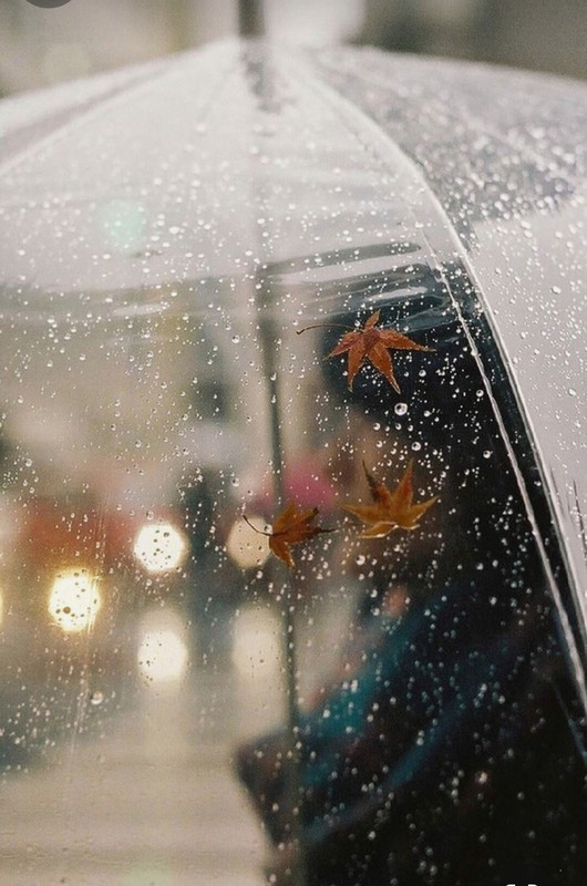 Screenshot_20231219_230736_Pinterest