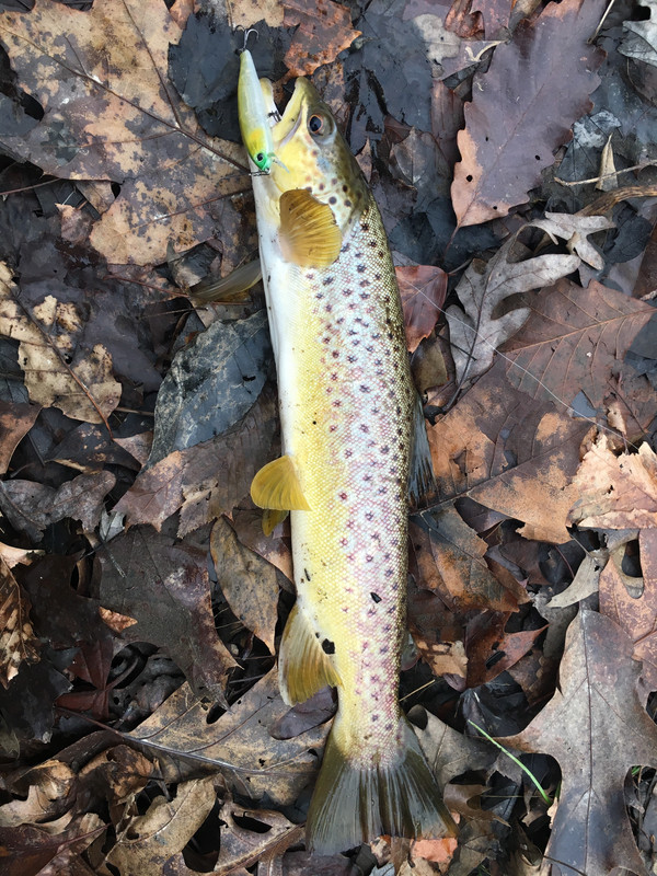 1079FA7A-F176-4692-AC3E-8A80E2B137E0