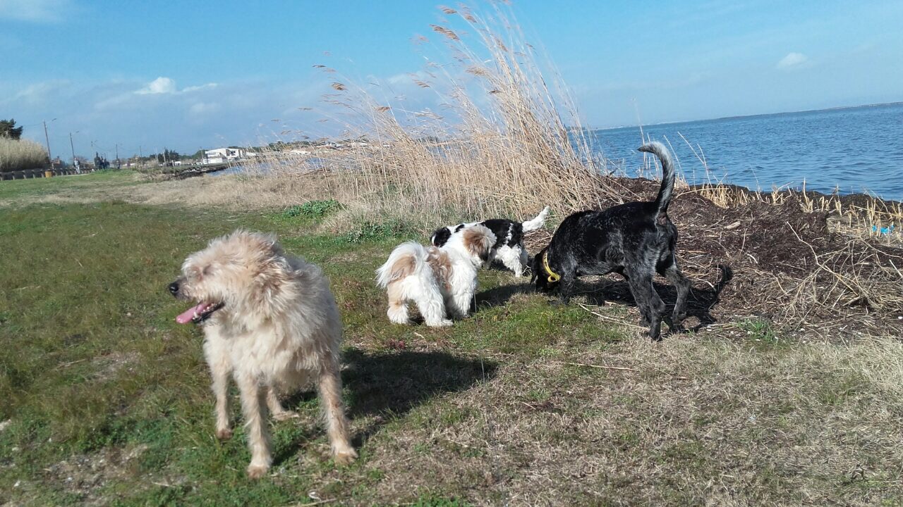 F9BF072B-ACC7-42D3-8124-4788EDD6CF2A