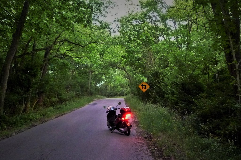 External inline image provided by member with no explanatory text