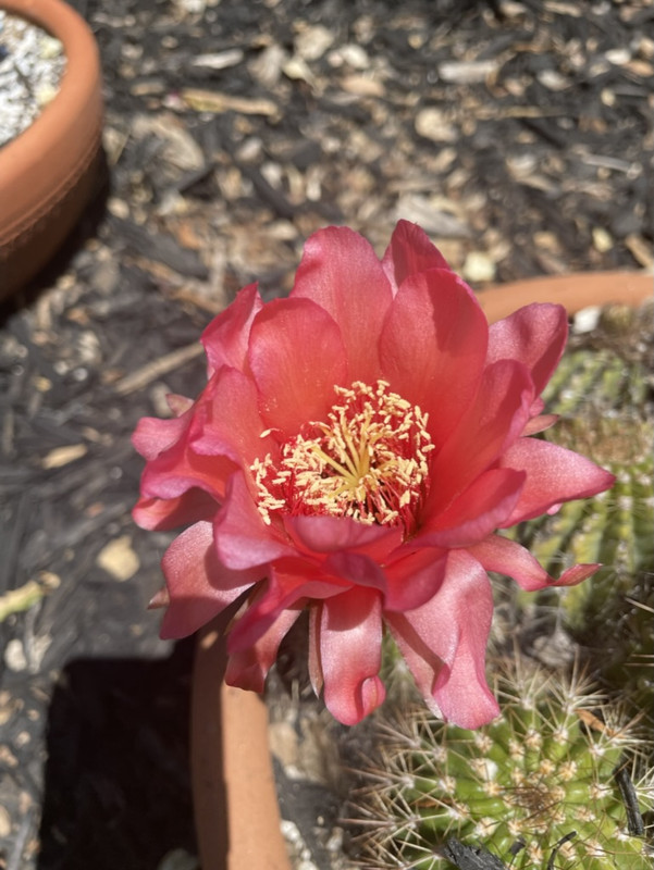 6D4BA23F-A15E-4D58-B355-948E53805053_1_105_c