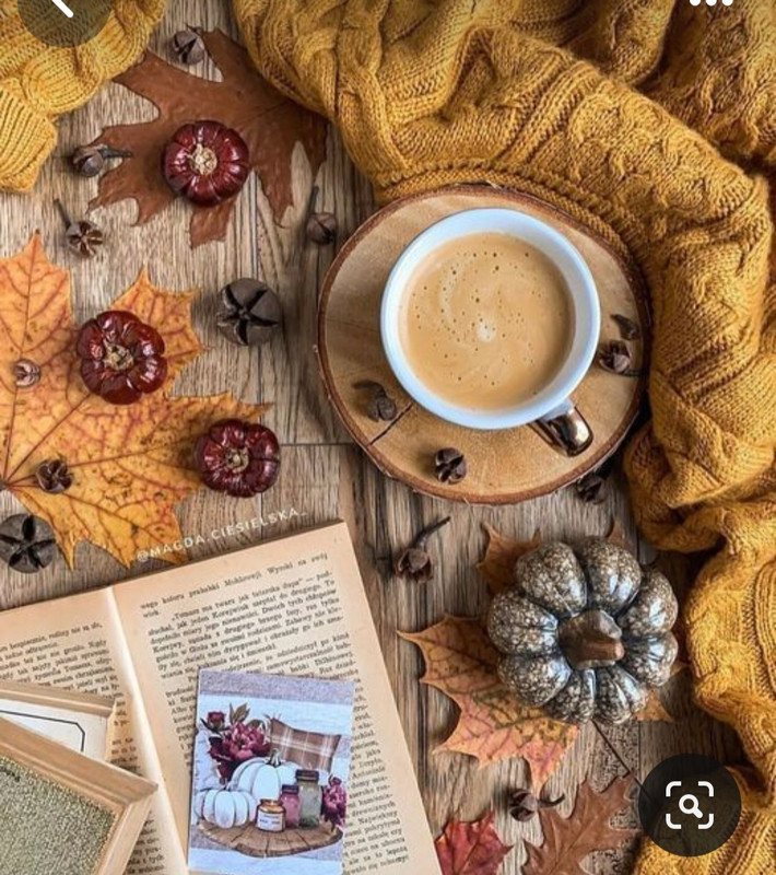 Screenshot_20230909_233557_Pinterest