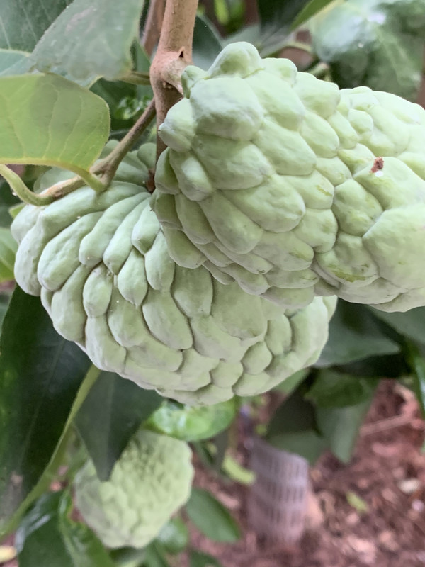 A5E5A6D9-0A56-460D-B580-4D54DAAF021E