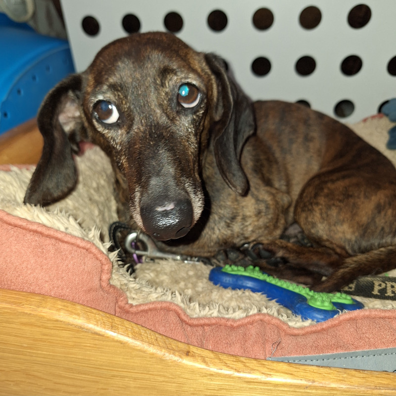 [Image: 20240506-132605.jpg]