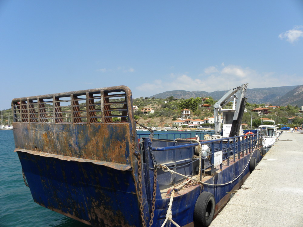 LCM1