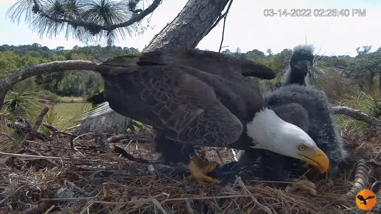 Webp.net-gifmaker (3)