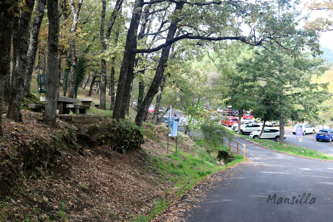 Miraflores-2491-10