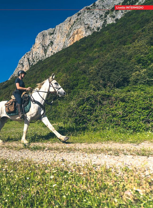 Il Mio Cav (Giu 2023) 4jpg