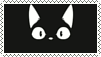 black-cat