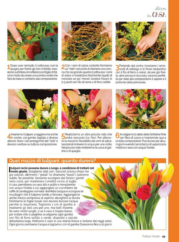 Pol Ver Apr-Mag 2022 (6)