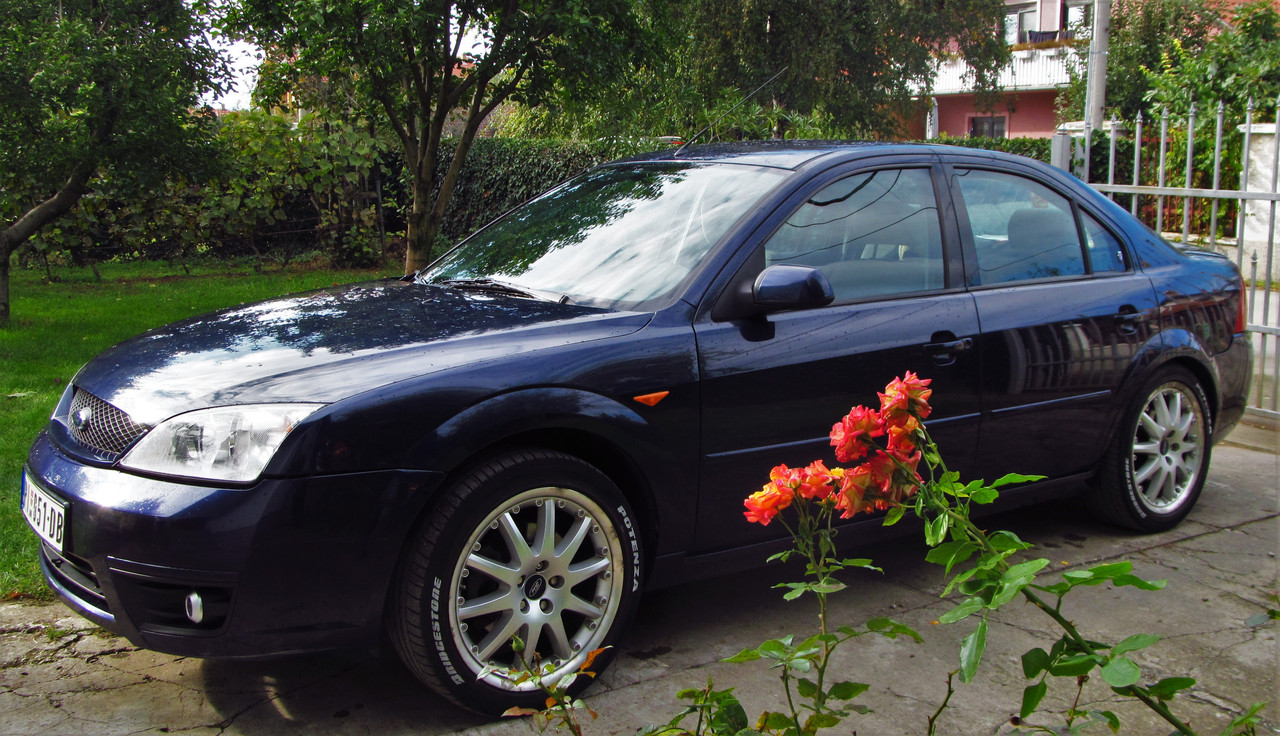 201018 IMG_4856 Абадон - Пожаревац