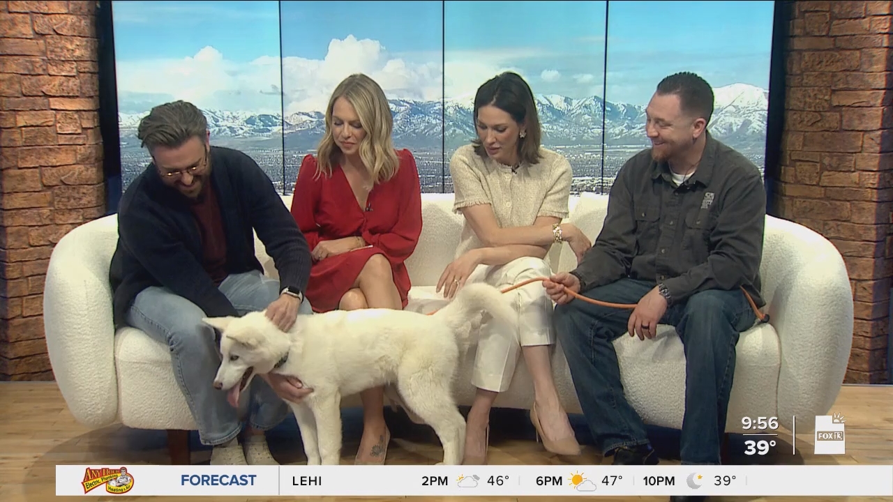 04.04 - 16.00.00 - FOX13 News  Good Day Utah 9AM  ᴺᵉʷ. Utah news, wea....ts_snapshot_00.58.03.717