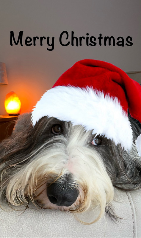 D9764F8D-28A0-430A-9991-1490A6E16D3D