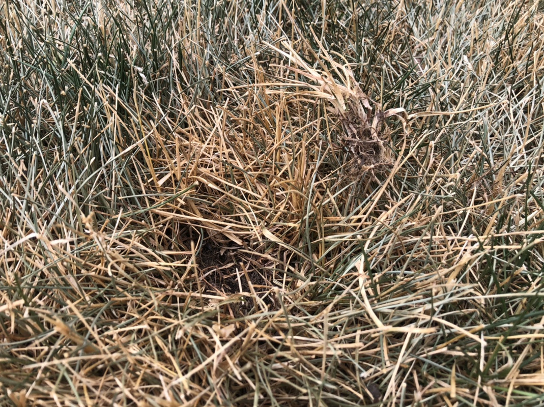 CC209A4E-B377-4FF4-A419-F753135DF071