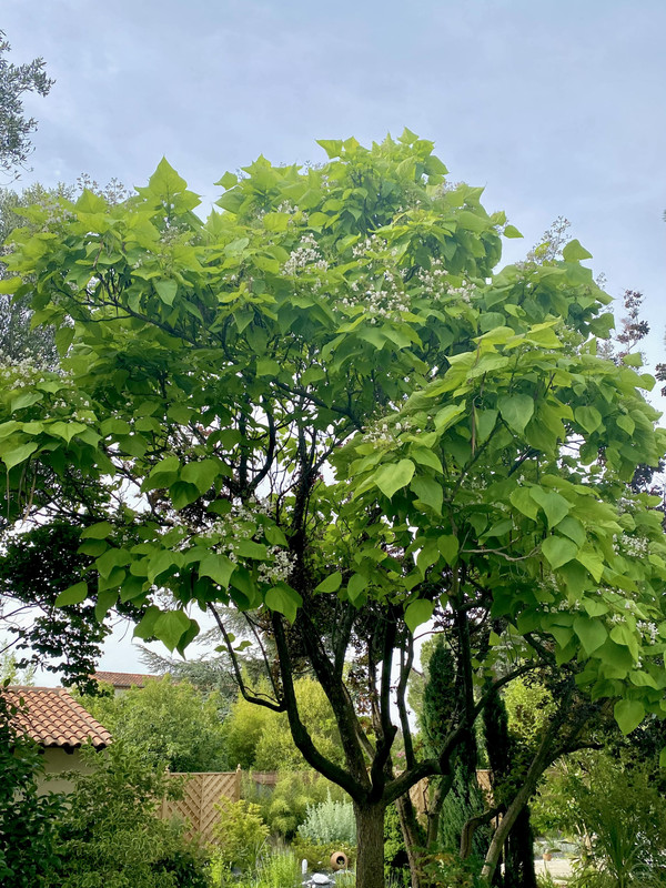 DD25CDD9-81A3-469E-81AA-4D31E5F57E9A