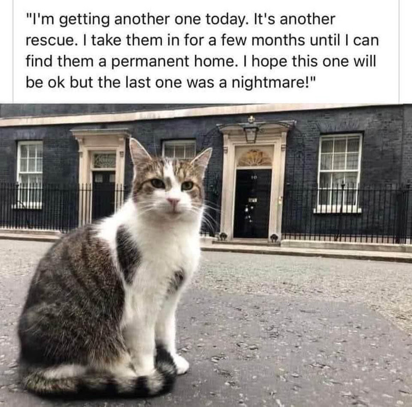 1C861C61-A6F3-4418-9BB7-76417176FD90