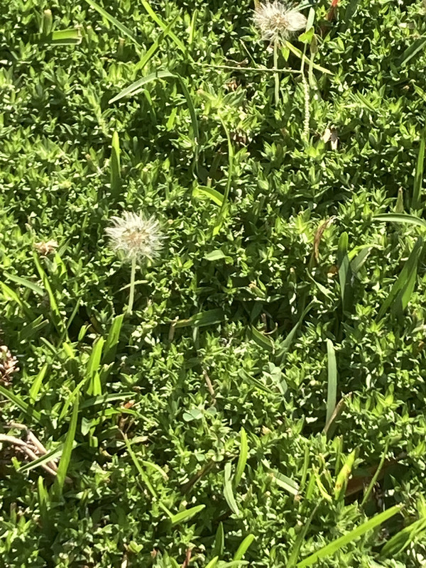 C48E770A-C9C3-4FC8-B5B5-9556F450F701