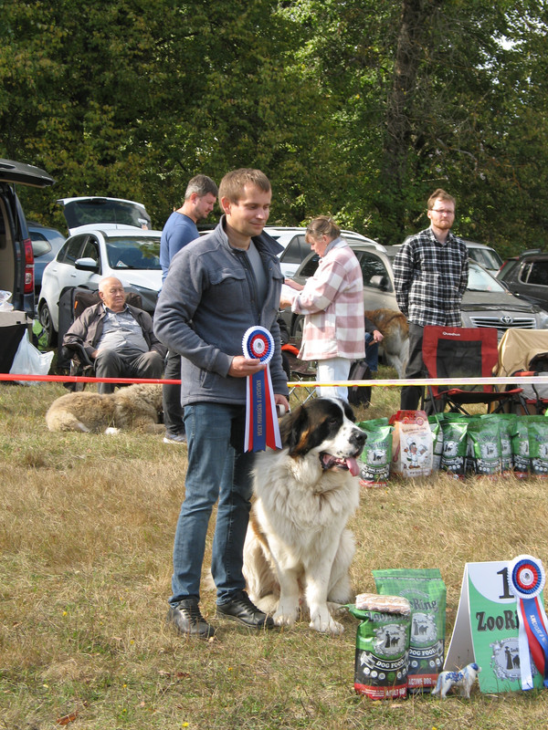 004 ПОСАДСКАЯ СТРАЖА ЯРИЛЛА