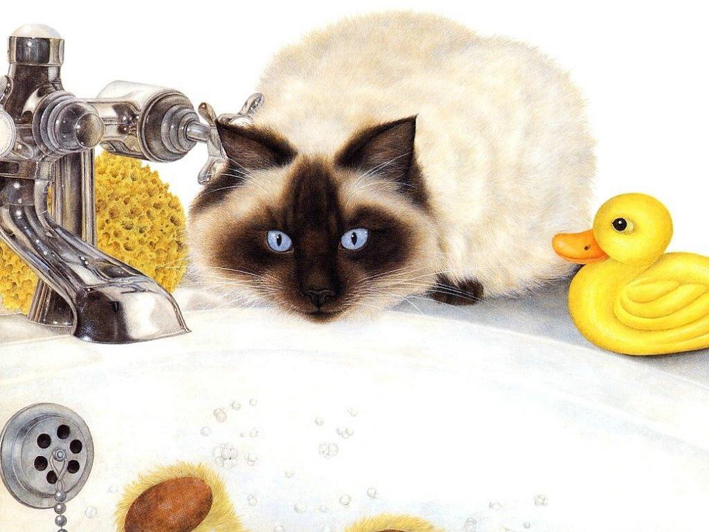 02-Anne-Mortimer-14