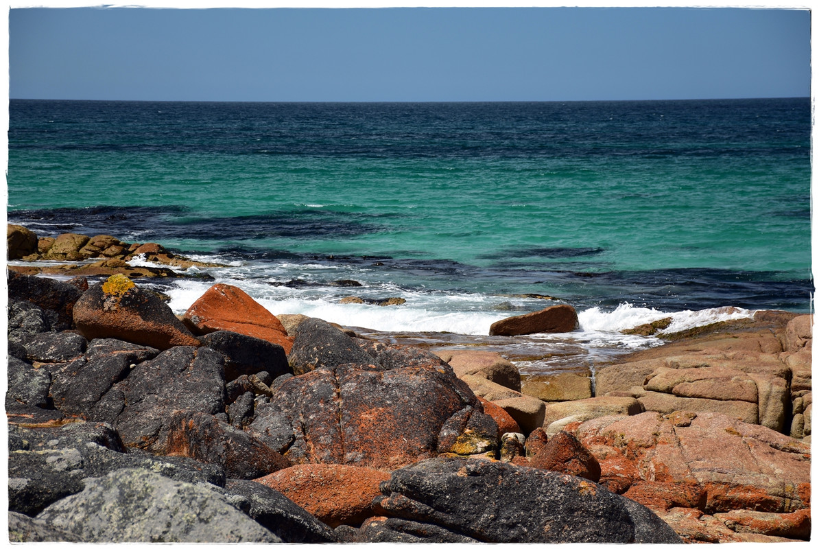 Freycinet National Park - Australia (II): Recorriendo Tasmania (14)