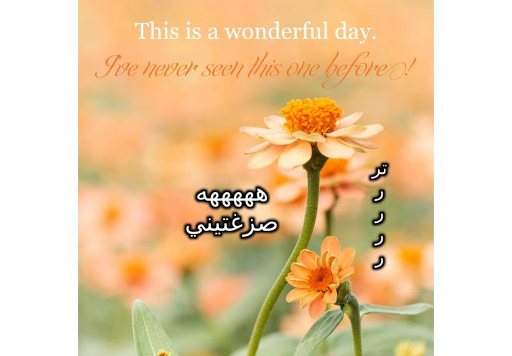 ���� ���� ������ �� ���� ������