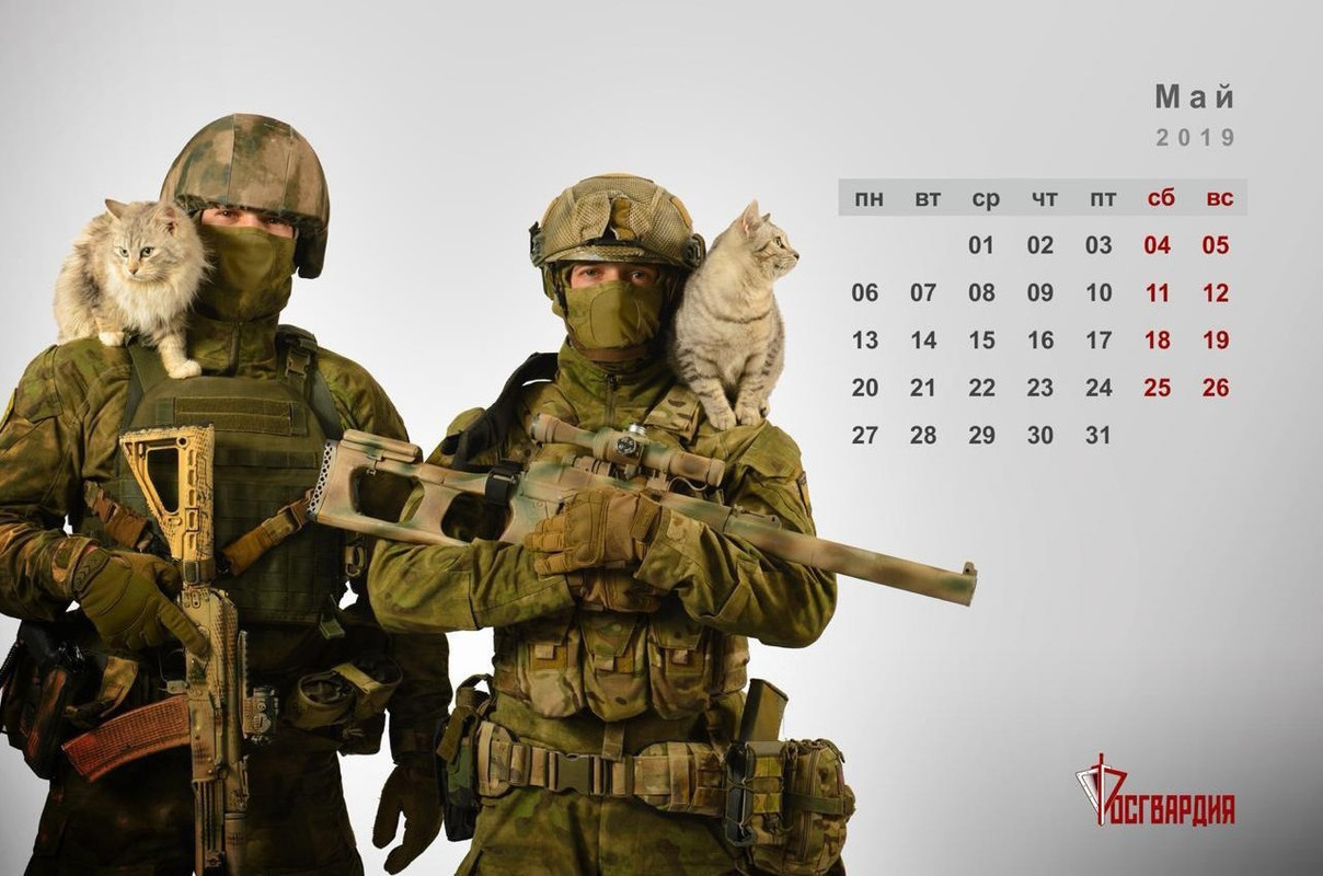 03-1