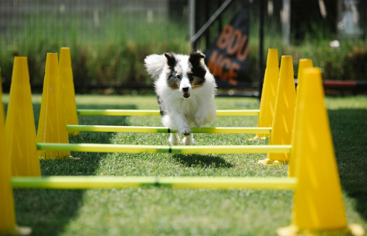 Agility