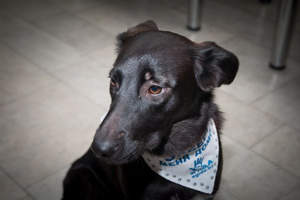 B6A37BB5-5077-4523-9B34-2BAF83A2E0EB