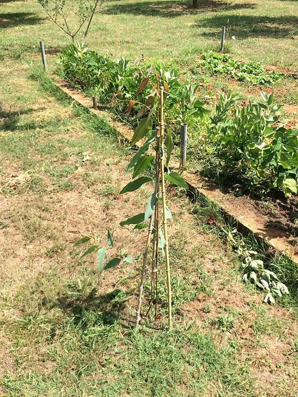 34586098_10215349774718640_2985340572409004032_n