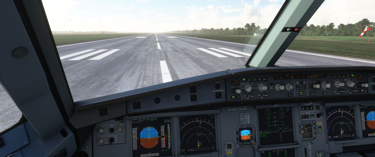 Microsoft-Flight-Simulator-08-12-2021-12-15-26.png