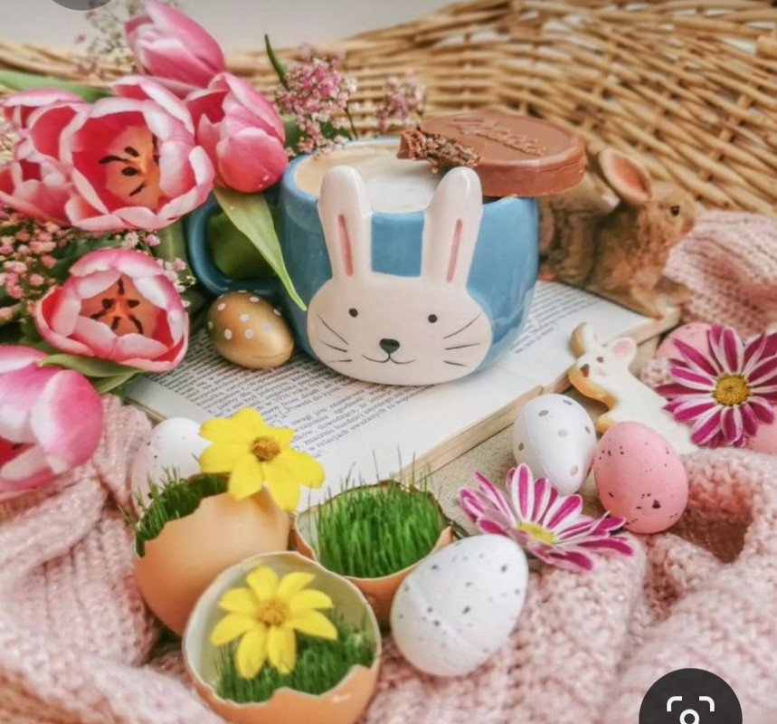 Screenshot_20230317_001104_Pinterest