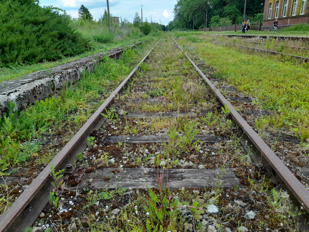 13.12 - 20210605_150423 (Aldona)