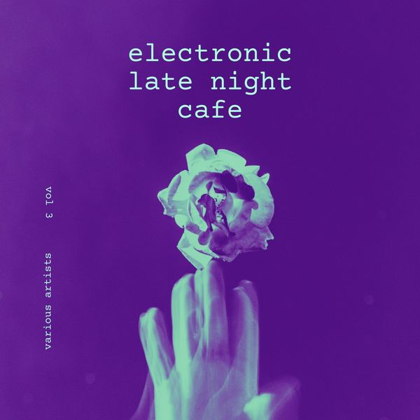 VA - Electronic Late Night Cafe Vol. 3 (2021)