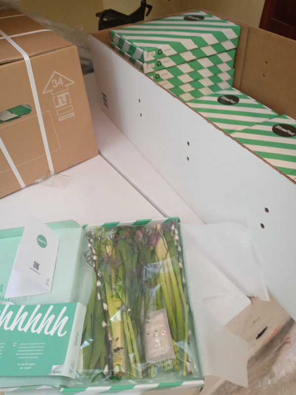 [Image: 20220401-153312.jpg]