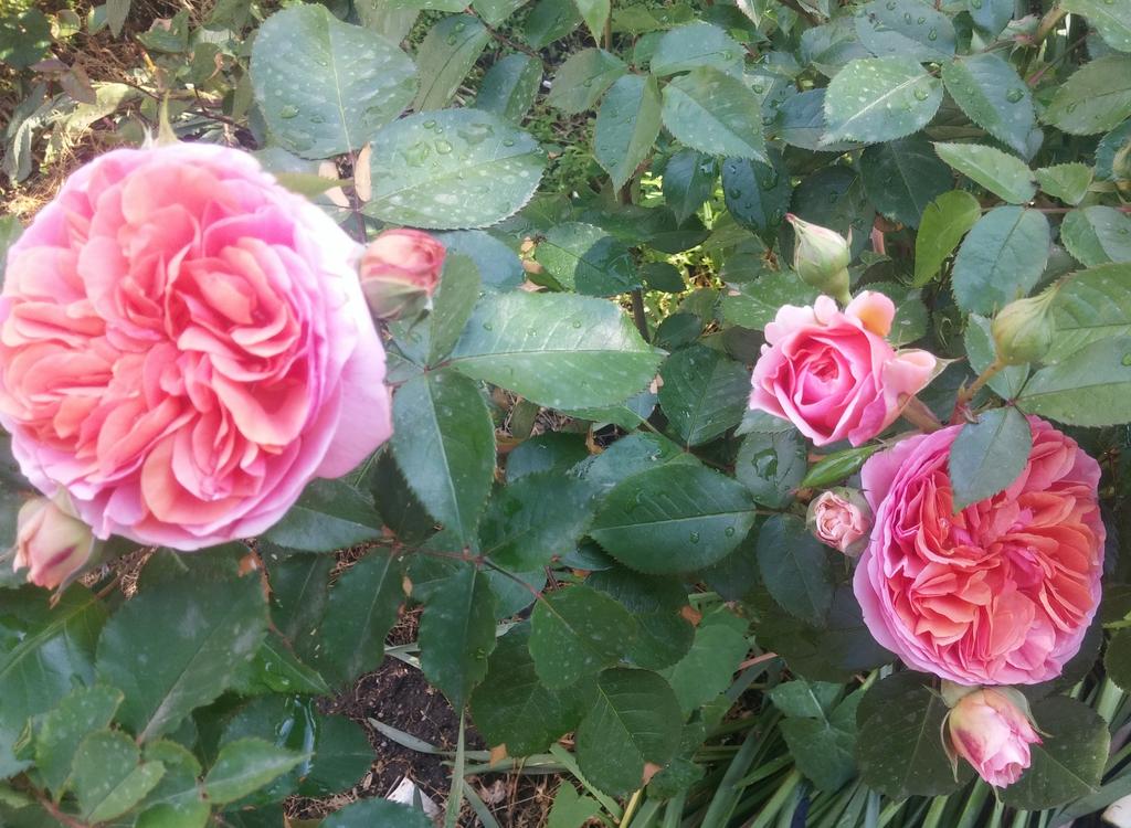20190502_175607
