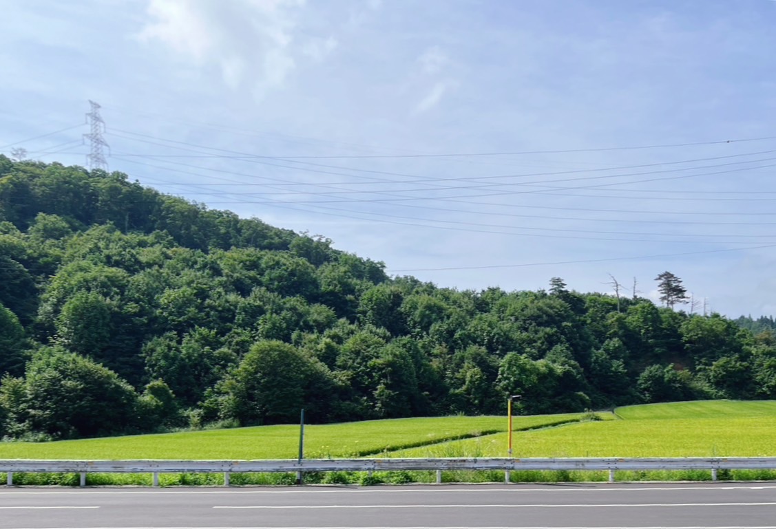 『地元への帰省とこれからのこと』のサムネイル画像