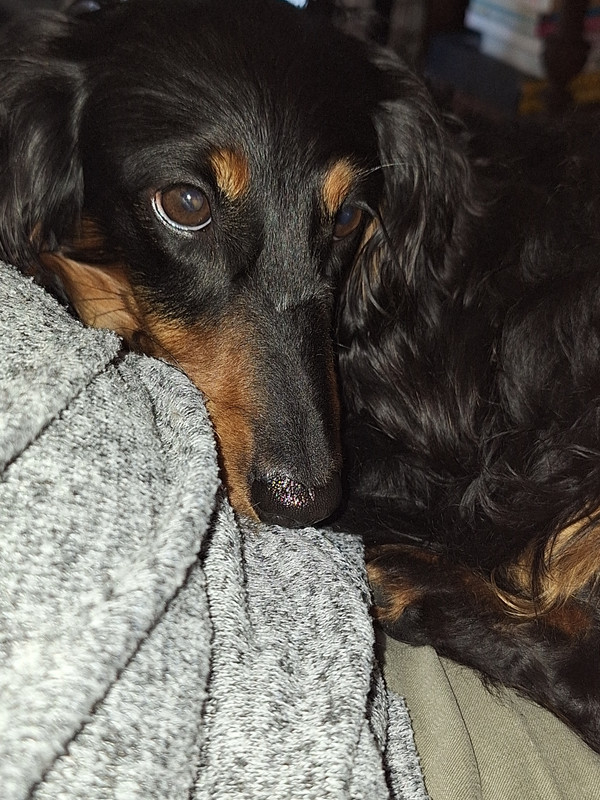 [Image: 20240614-134051.jpg]