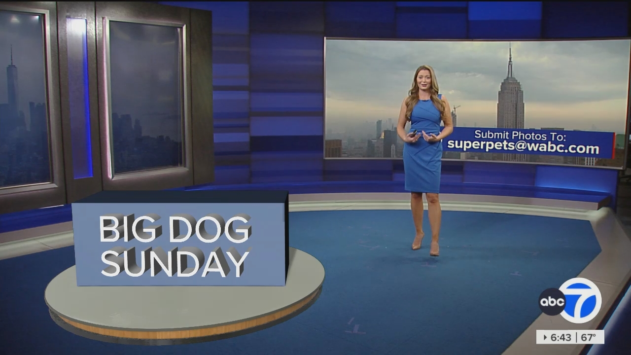 Eyewitness News Sunday Morning_20240526_11001230.ts_snapshot_00.44.36.216