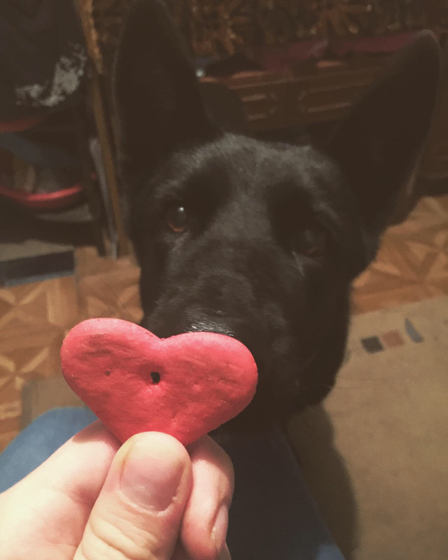 668DBD5C-A9AB-4294-B7DC-9CE6DB98689B