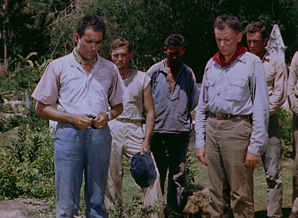 vlcsnap-2017-07-27-14h52m11s631