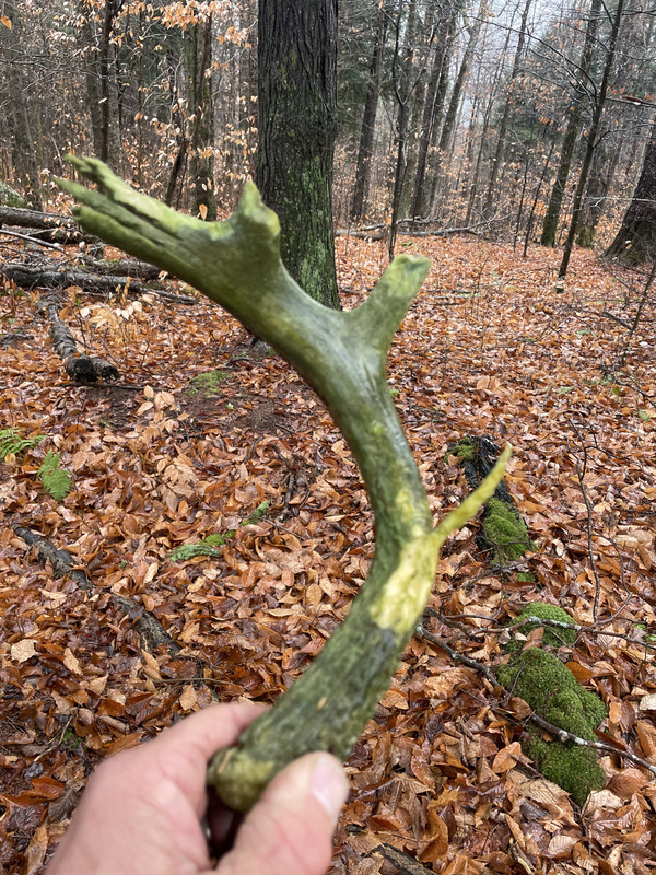 96EF4B34-3881-42E1-A4BB-E24D43A55BE7