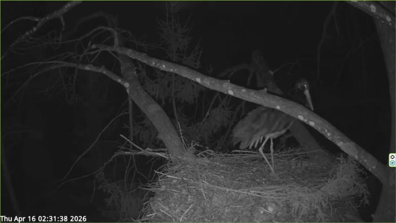 2026 04 16 p 02 31 38