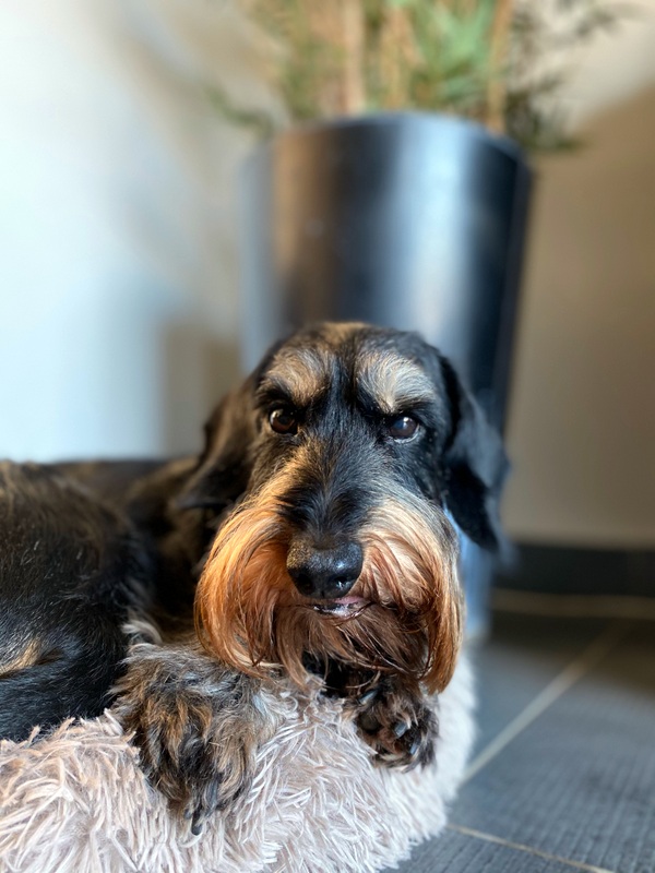 [Image: IMG-0472.jpg]