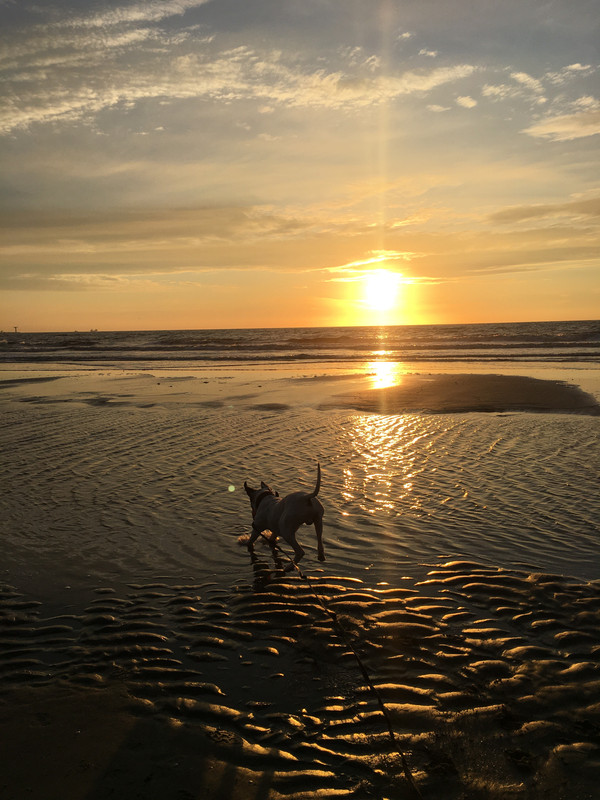 80E31F23-5E86-4DE3-A4B7-2EEA10B274E4